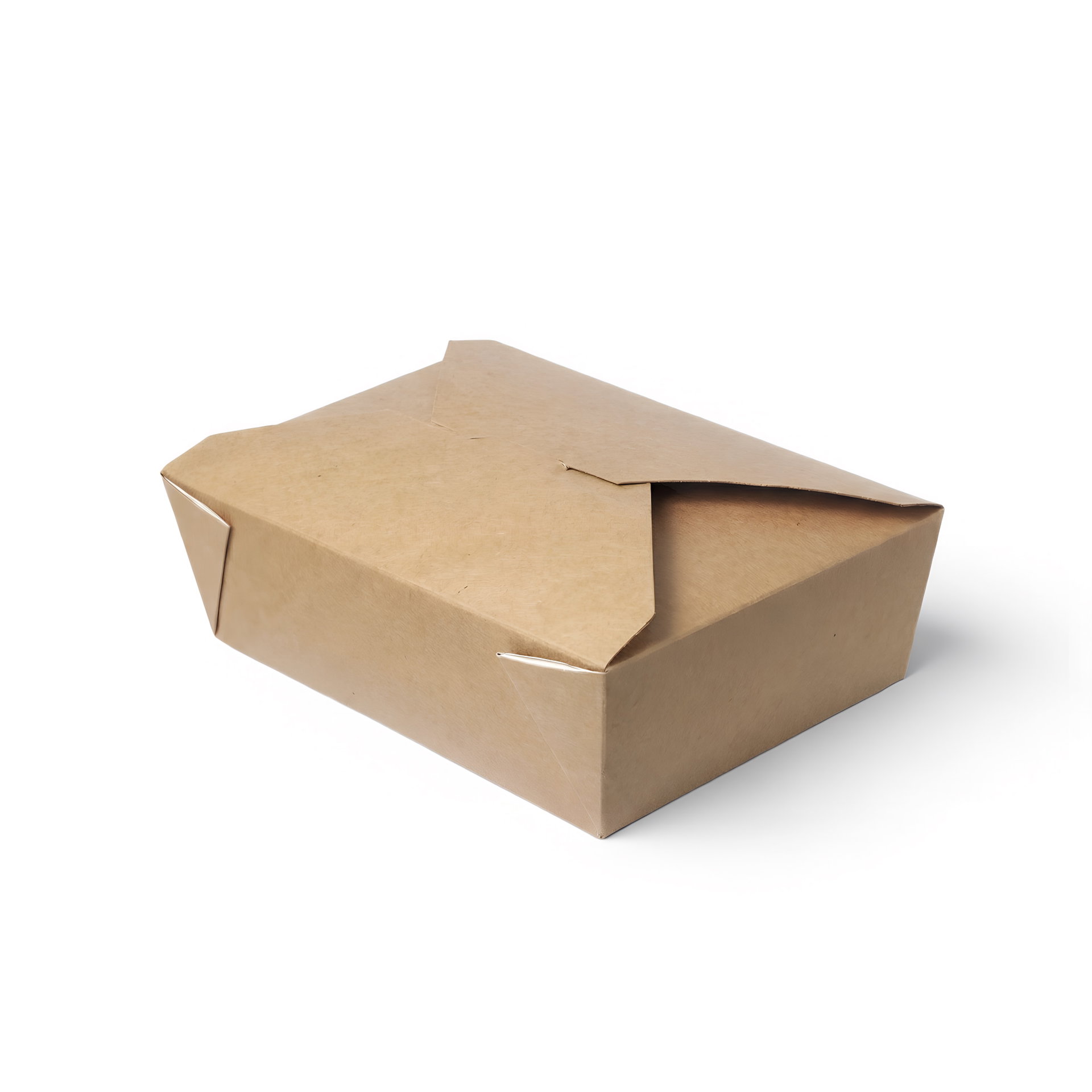 Lunchbox 20 × 14 × 6,5 cm 1600 ml — Nature · Karton: 200 Stk.